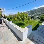 아파트 Palaiokrassa Sunny Mesaria (Andros)