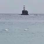 아파트 Palaiokrassa Sunny Mesaria (Andros)