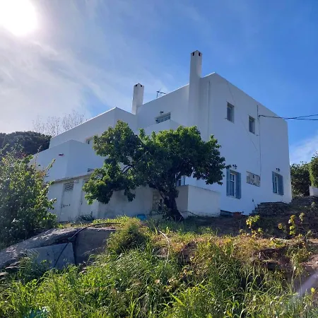 Palaiokrassa Sunny Mesaria (Andros)