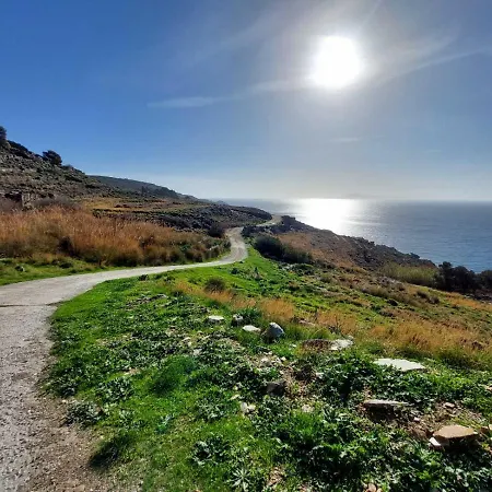 Palaiokrassa Sunny Mesaria (Andros)