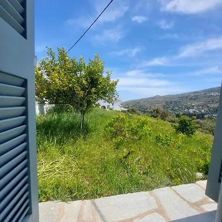 Palaiokrassa Sunny Apartament