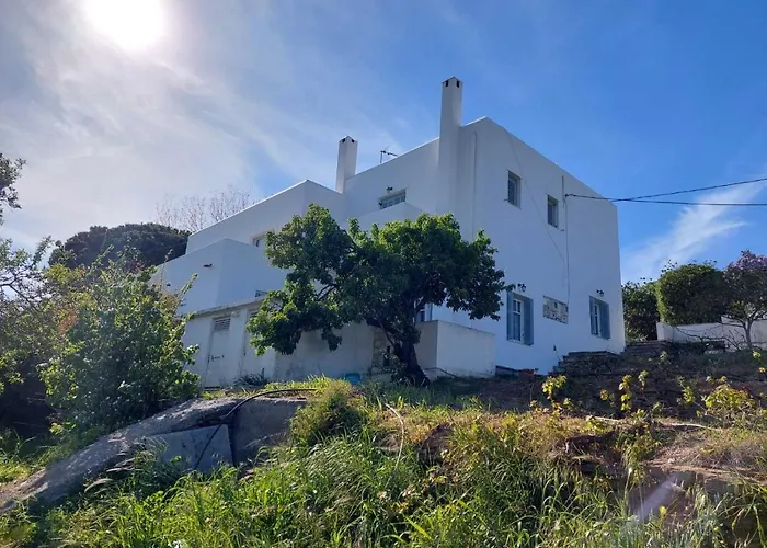 Palaiokrassa Sunny Mesaria (Andros)